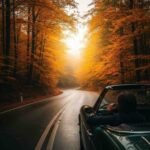 Peaceful scenic drive through forest with golden autumn colors, symbolizing self-reflection and nature therapy on the road.