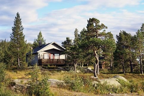 A rustic wooden cabin surrounded by pine trees against a mountain backdrop at golden hour