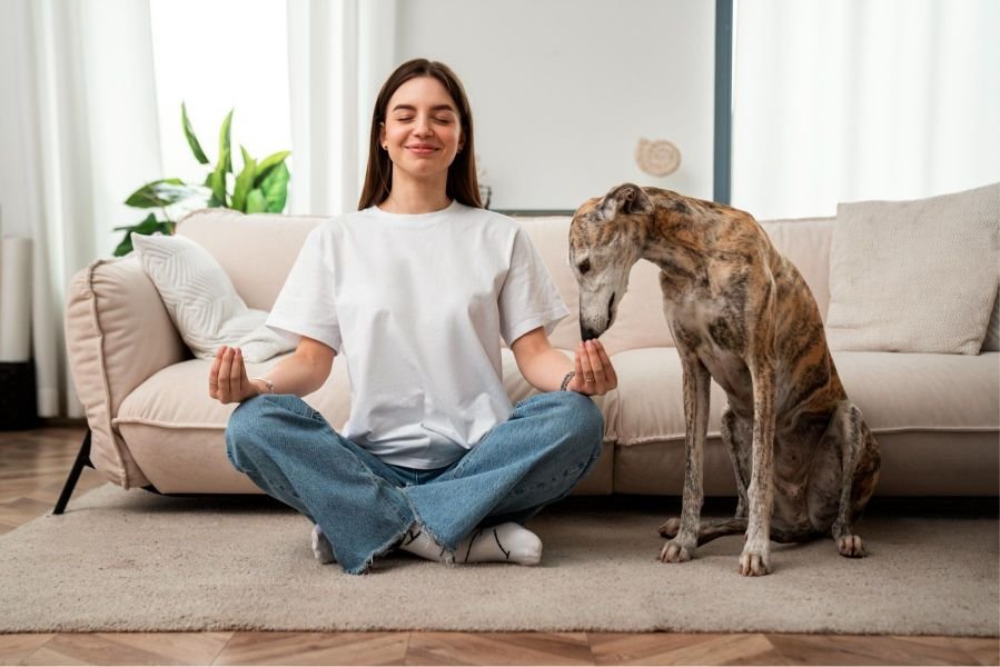 Pro Tips No One Talks About (But Changed Everything) The Owner is practicing meditation to help reduce anxiety in dogs.