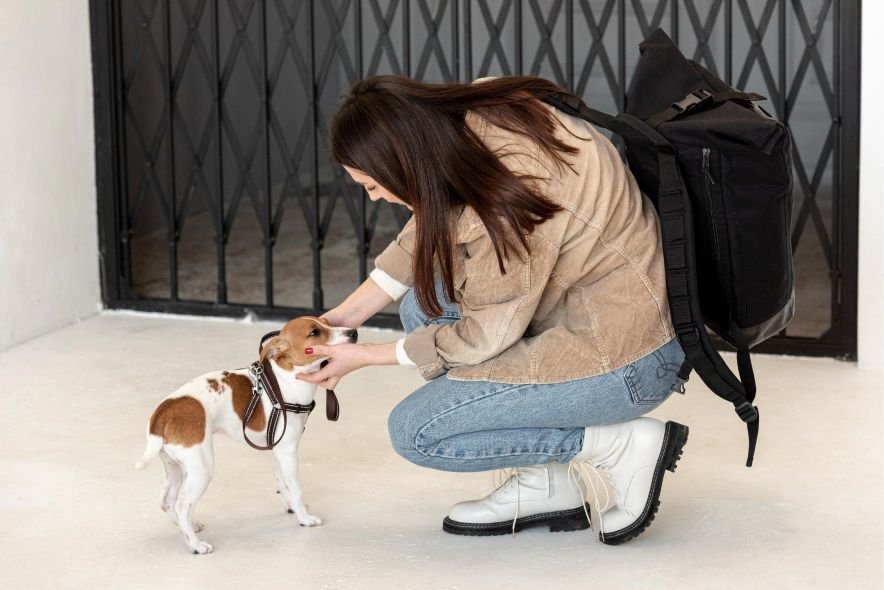 The Goodbye Ritual That Changed Everything The Owner is using an end-of-day ritual to help ease separation anxiety in dogs.