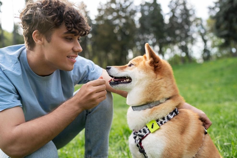 The Power of Presence -- 10-Minute Eye Contact Method The Owner is practicing eye contact to lessen the dog's anxiety
