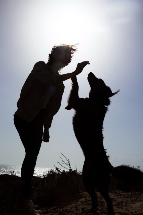 A German Shepherd with its owner takes on one Valdez trail a year after their Rescue; trust and time are their definitions of enhanced friendship