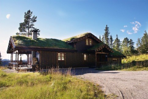 A remote wooden cabin surrounded by trees and nature, symbolizing self-reliant off-grid living without access to grocery stores.